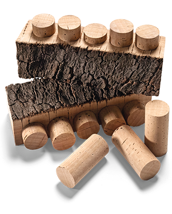 Corticeira Amorim